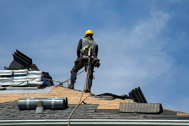 Professional Roofing technician working in Hedrick, IA